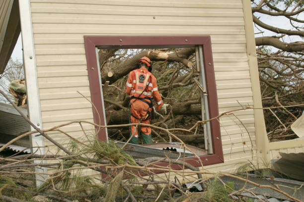 Best Fruit Tree Pruning  in Haslet, TX
